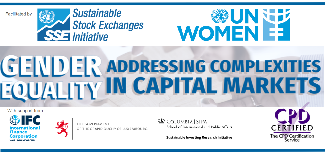 SSE Gender Eq training program