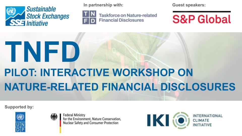 TNFD Pilot Web banner