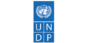 UNDP logo