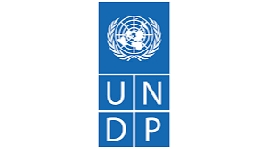 undp logo