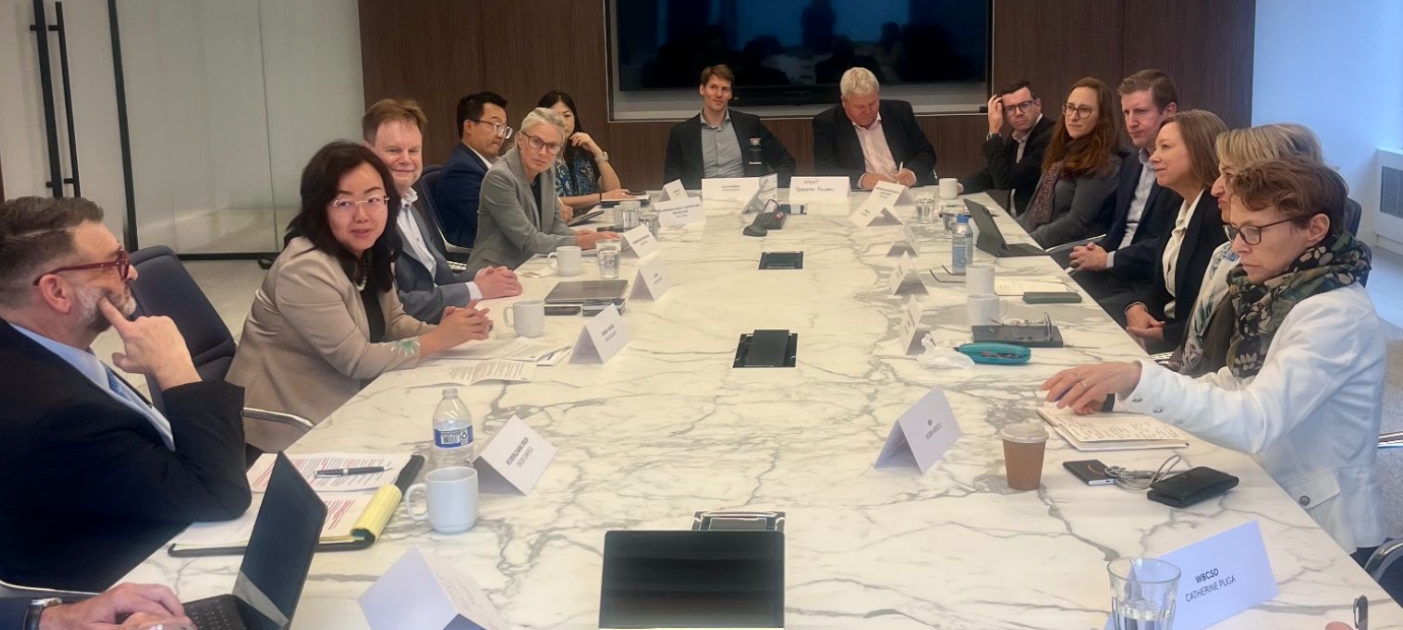 UN SSE and Chapter Zero Alliance Meeting NYC
