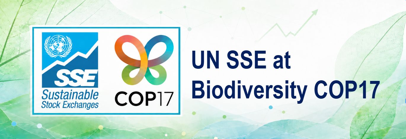 UNSSE AT COP17