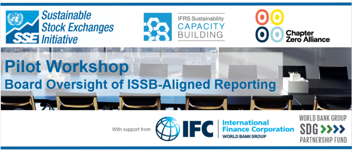 boards pilot sdg logo