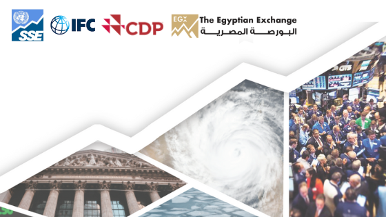 Egypt: TCFD 101 - Workshop Training