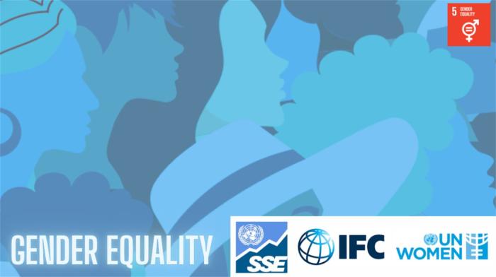 Report Launch Webinar - How Exchanges Can Advance Gender Equality