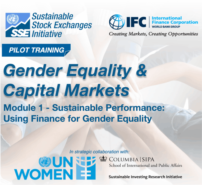 Pilot: Sustainable Performance – Using Finance for Gender Equality