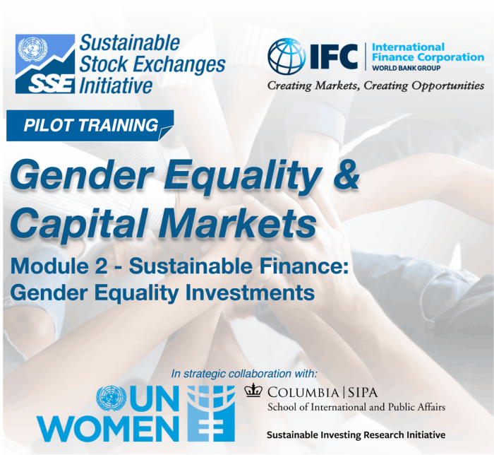 Pilot: Sustainable Finance – Gender Equality Investments