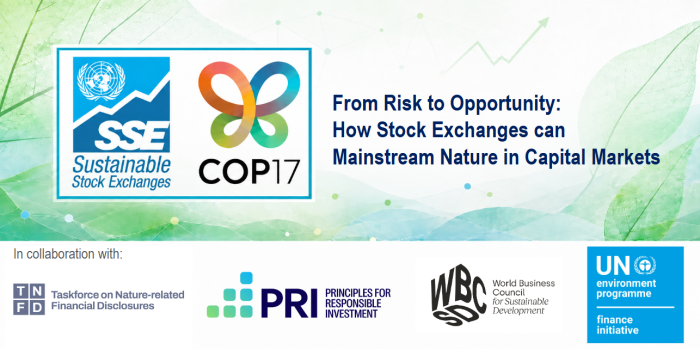 TNFD Joint event COP17