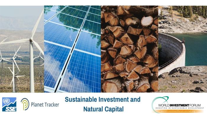 WIF 2021: Sustainable Investment and Natural Capital