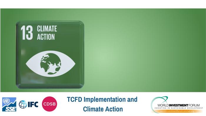 WIF 2021: TCFD implementation and climate action