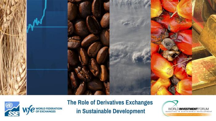 WIF 2021: The Role of Derivatives Exchanges in Sustainable Development