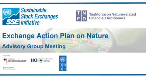 nature action plan meeting