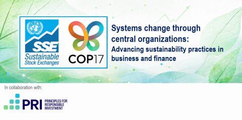 COP17 Blue zone event