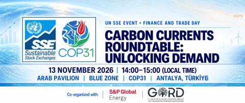 COP31 Carbon Roundtable Banner