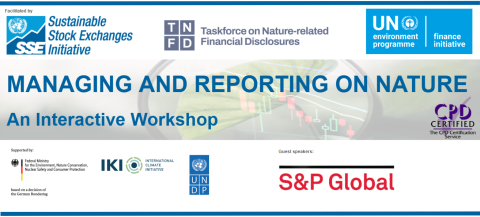 Banks global TNFD