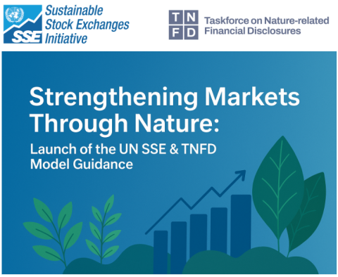 TNFD and SSE launch webinar visual