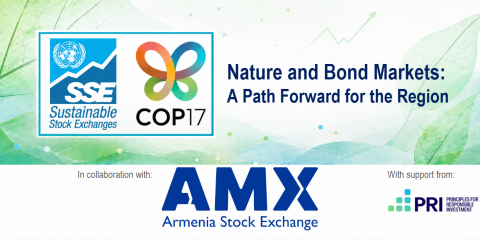 AMX-SSE-PRI-COP17