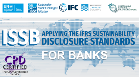 UNEP-FI and SBNF ISSB for Banks workshop Nov. 2025