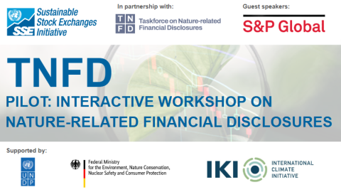 Web Banner nature related