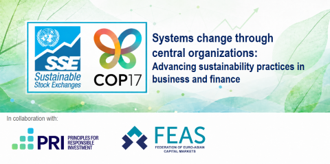 SSE FEAS PRI COP17