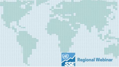 SSE Regional Webinar Africa: Climate awareness education for asset owners and asset managers