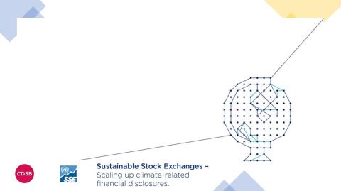 Sustainable Stock Exchanges - Scaling up Climate-related Financial Disclosure