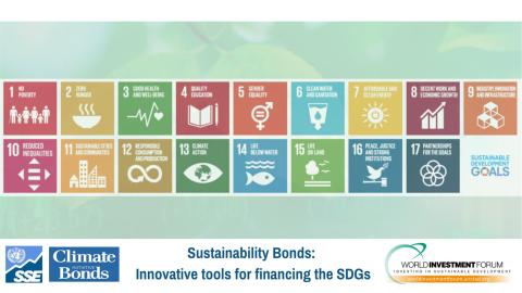 WIF 2021: Sustainability Bonds: innovative tools for financing the SDGs