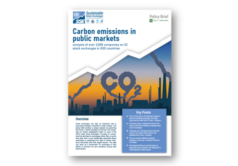 Carbon emissions in public markets in G20 countries