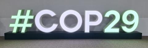 COP29