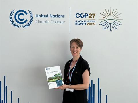 COP27: UN SSE engages Voluntary Carbon Markets, launches new Market Monitor and Advisory Group