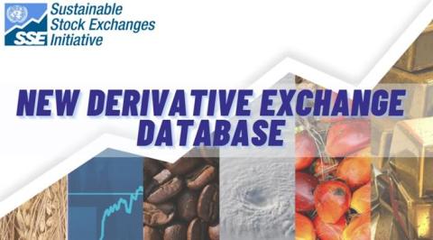 New SSE Derivative Exchange Database