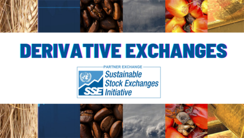 Derivatives exchanges invited to join UN SSE