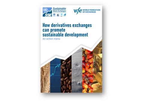 How Derivatives Exchanges can Promote Sustainable Development - An Action Menu