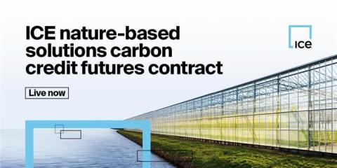Exchange in Focus: ICE Launches its First Nature-Based Solutions Carbon Credit Futures Contract