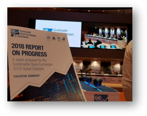 SSE 2018 Report on Progress charts stock exchange progress