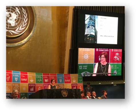 UNCTAD presents SSE at United Nations Partnership Exchange