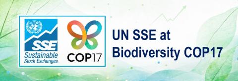 UNSSE AT COP17