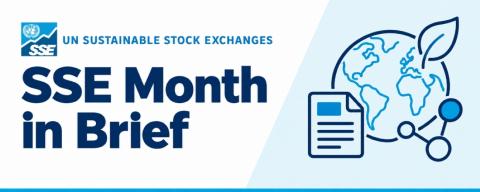 UN SSE Month in Brief Banner