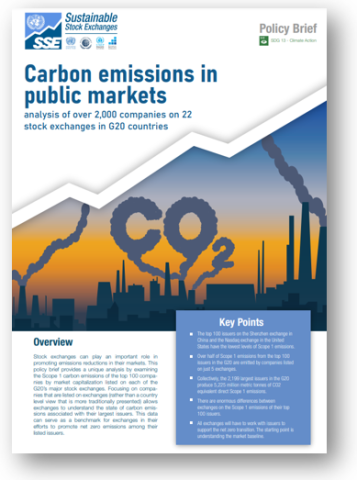 Policy brief: Carbon emissions in public markets