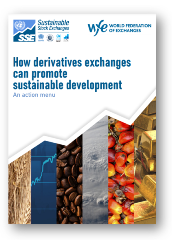 How Derivatives Exchanges can Promote Sustainable Development - An Action Menu