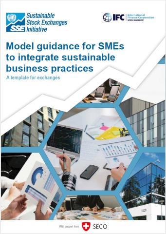 Model Guidance SMEs