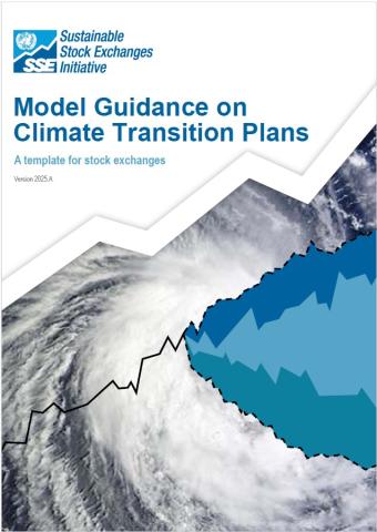 Model Guidance Transition Plans