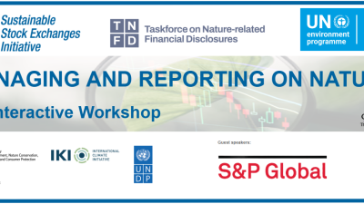 Banks global TNFD