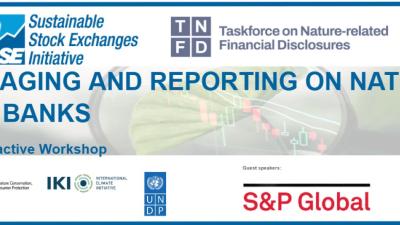 tnfd banks