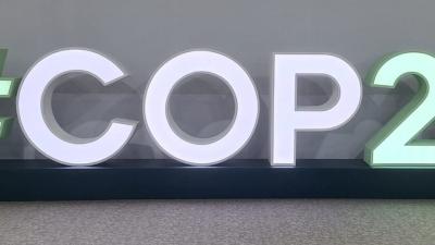 COP29