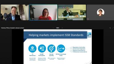 IOSCO SSE PRESENTATION