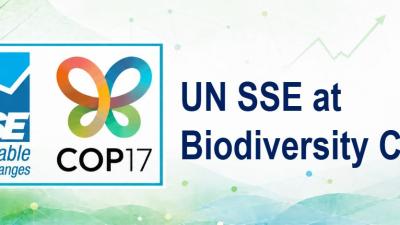 UNSSE AT COP17