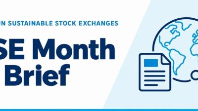 UN SSE Month in Brief Banner